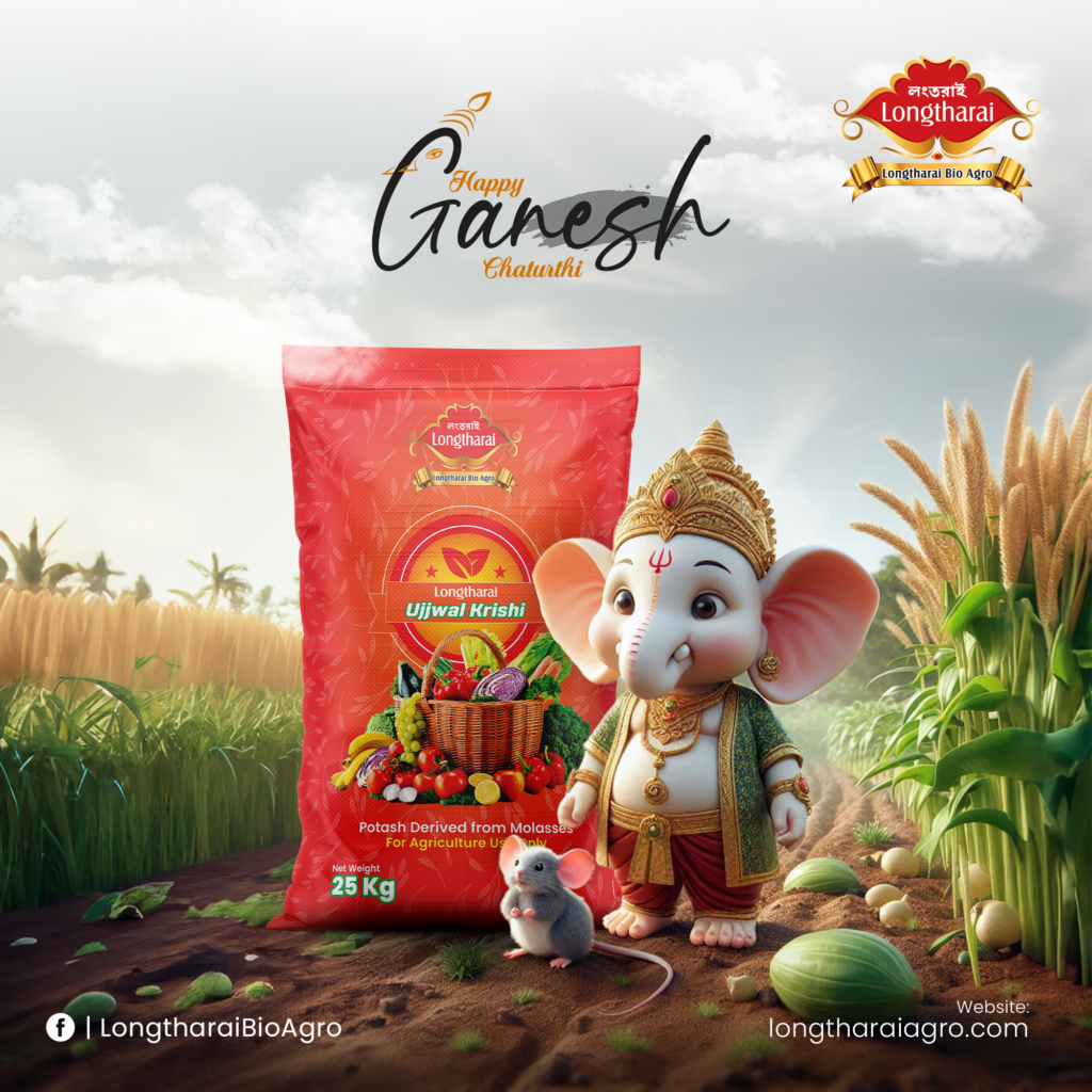 SOVA - Ganesh 2024